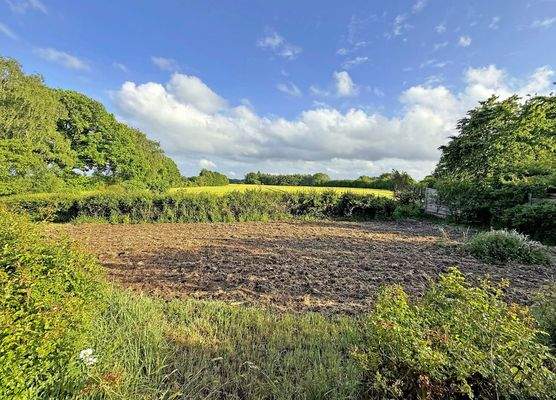 Blick von der Terrasse