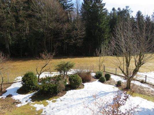 sonniges Grundstück