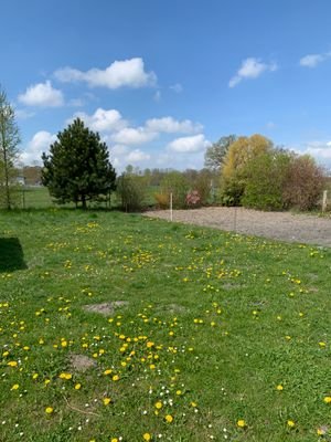 1. IMG_5376.jpeg