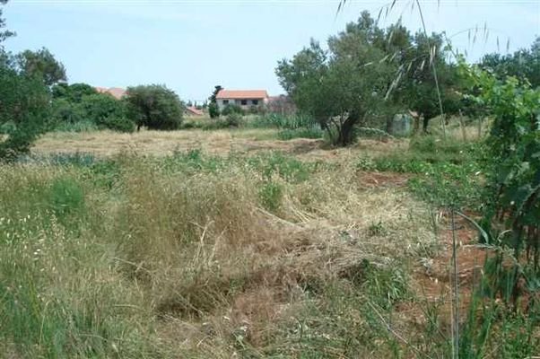 Grundstück Gesamtansicht / Overall view of plot