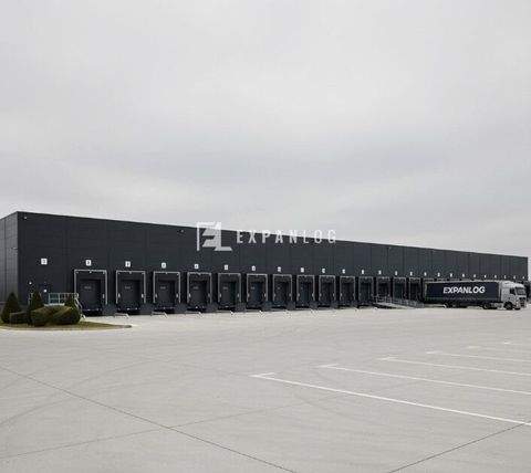 Castrop-Rauxel Halle, Castrop-Rauxel Hallenfläche