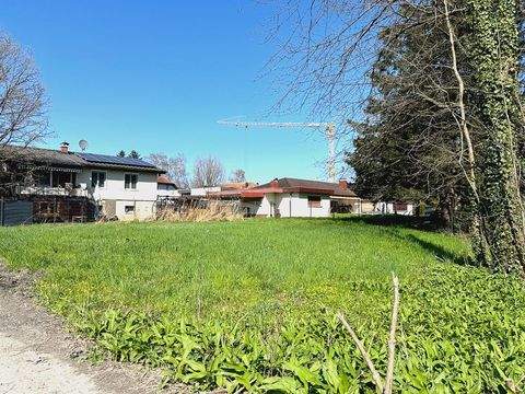 Lustenau Grundstücke, Lustenau Grundstück kaufen