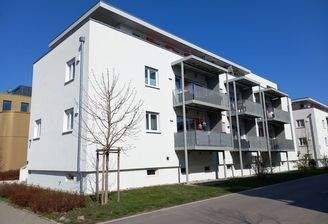 Rückansicht mit Balkon (links im Hochparterre)