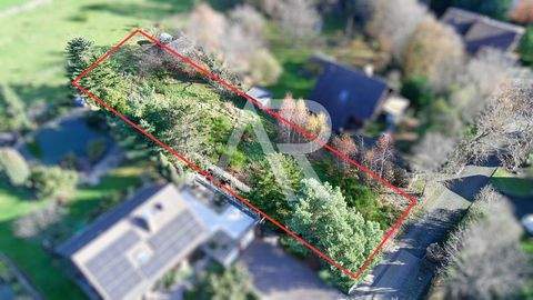 Hürtgenwald / Straß Grundstücke, Hürtgenwald / Straß Grundstück kaufen