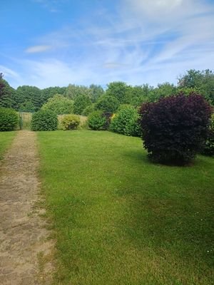 Blick von der Terrasse in den Garten 