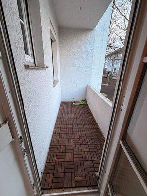 PHOTO-2026-03-03-18-22-46 2.JPG