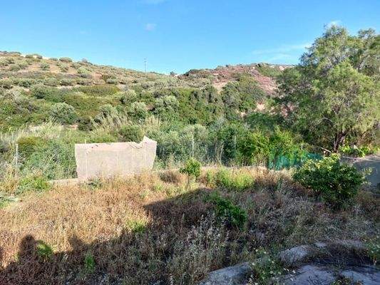 Ostkreta, Mertidia: Tolles Steinhaus mit Garten nahe dem Meer zu verkaufen