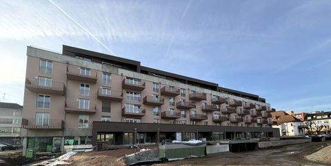 Singen Wohnungen, Singen Wohnung mieten