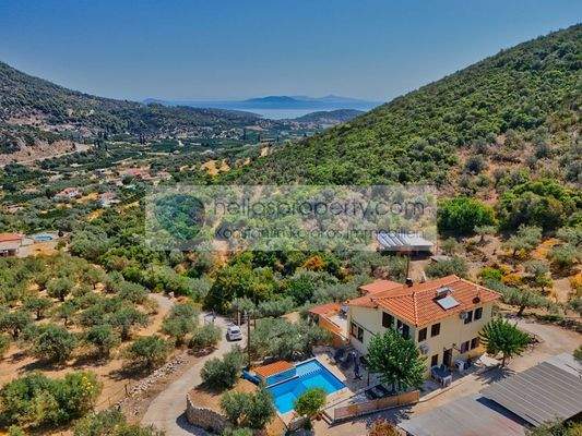 0f8b9950b87f49d3bf8569715eae6286-original