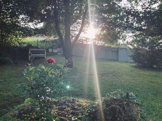 Garten