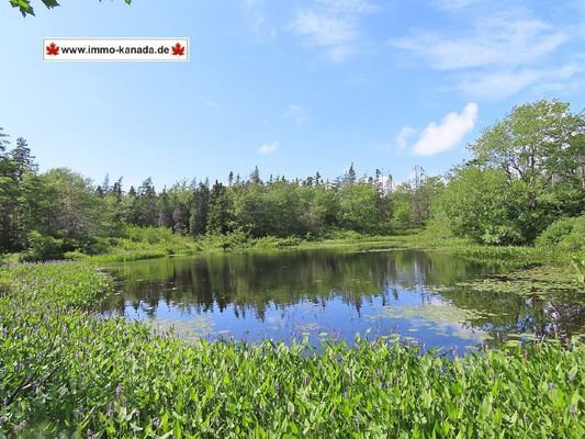 Cape Breton - Grand Lake - Tolles 19-Hektar-Areal 