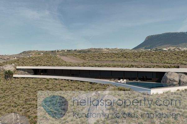 Project New Cave Style luxury Villa (5)