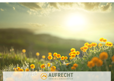 Jetzendorf Bauernhöfe, Landwirtschaft, Jetzendorf Forstwirtschaft