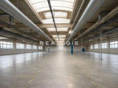 Offenburg Halle, Offenburg Hallenfläche