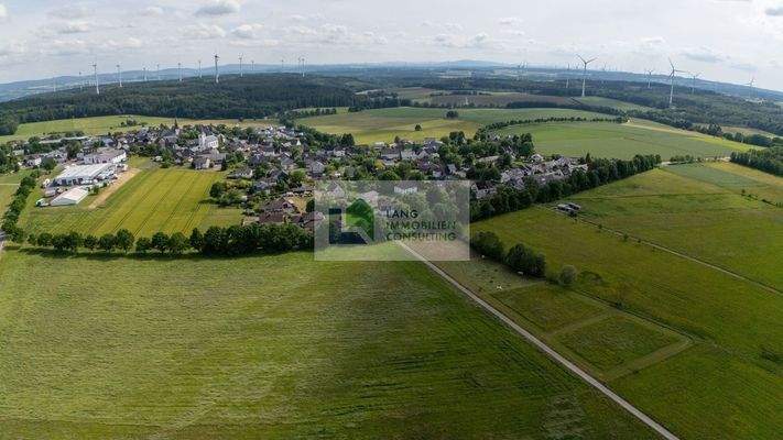 Laubach Vogelperspektive.jpg