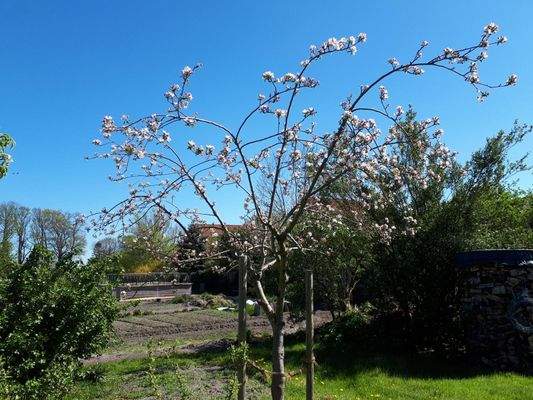 Impressionen Sommer25 (7).JPG