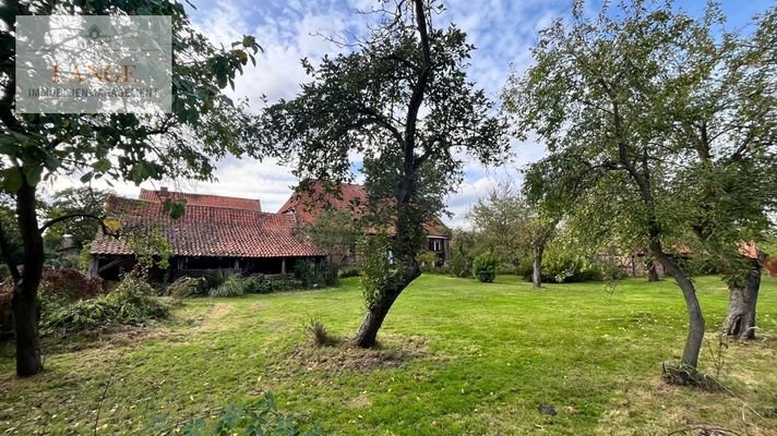 Garten hinten