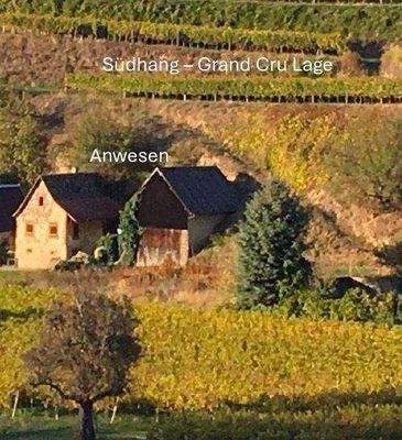 Bildschirmfoto 2025-09-03 um 09.00.39.jpg