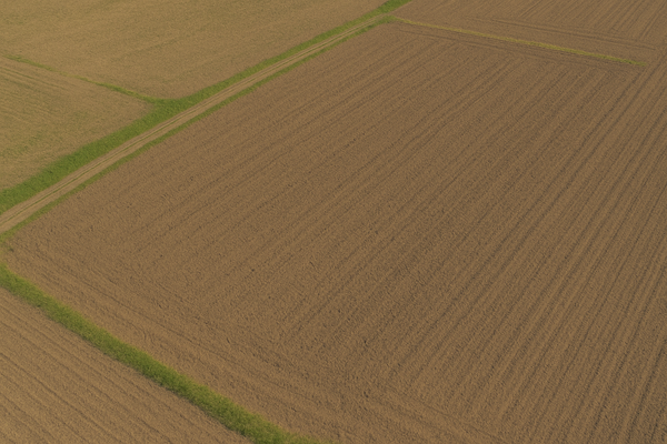 Refenrezbild Ackerland