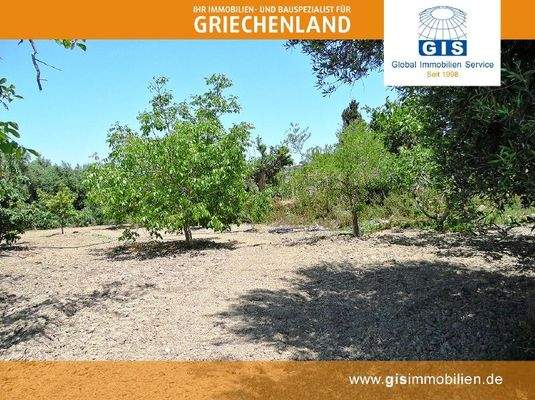 sehr gut bebaubares Grundstück