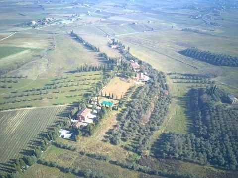 Montepulciano Bauernhöfe, Landwirtschaft, Montepulciano Forstwirtschaft