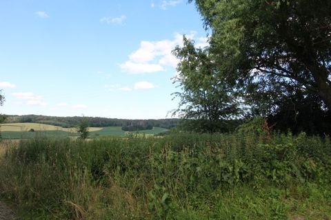 Neufahrn in Niederbayern Bauernhöfe, Landwirtschaft, Neufahrn in Niederbayern Forstwirtschaft