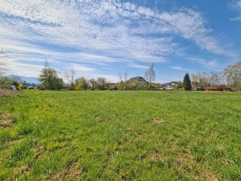 Lauterach Grundstücke, Lauterach Grundstück kaufen