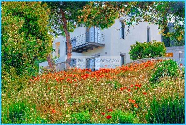 bcc2bca29ff24180aa535ecded452fb5-original