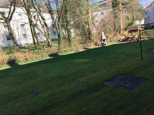 Außenanlage hinten  (2)