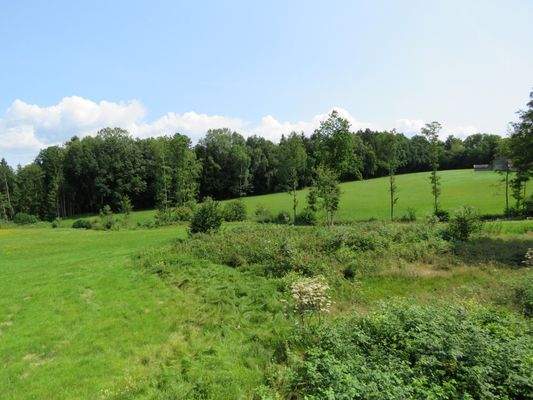 Gesamtes Grundstück   