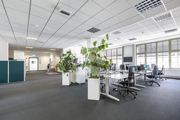 Büro 3