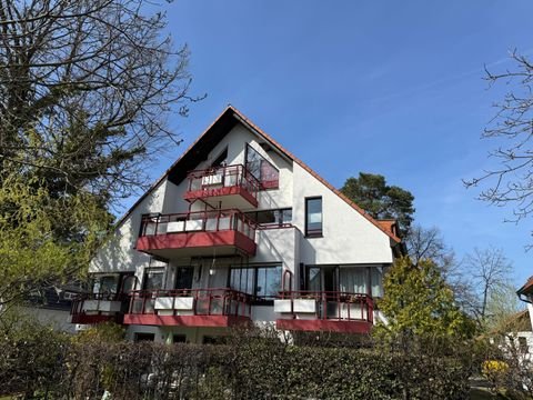 Zeuthen Wohnungen, Zeuthen Wohnung mieten