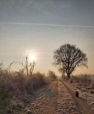 Winterimpressionen II