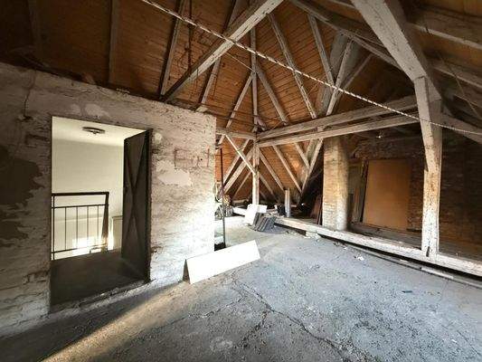 WhatsApp Bild 2025-06-16 um 16.50.30_929656a0