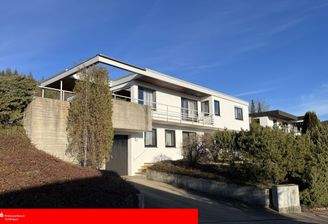 Frontansicht mit Zufahrt zur Garage