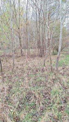 Blick auf das Wohngrundstück 