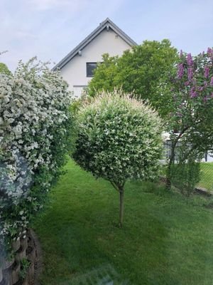 Schöner Gartenbereich