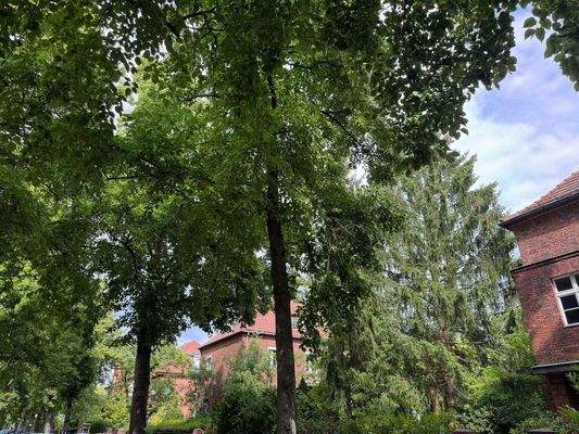 Ruhige Anliegerstraße