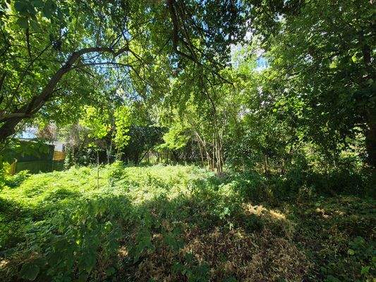 Rückwärtige Grundstück