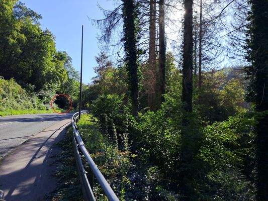 Burgtalstraße v. 300m entfernten Busbahnhof 