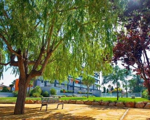 Bovetes Sol garden.jpg