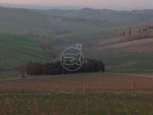 Wunderschönes Anwesen | Montepulciano