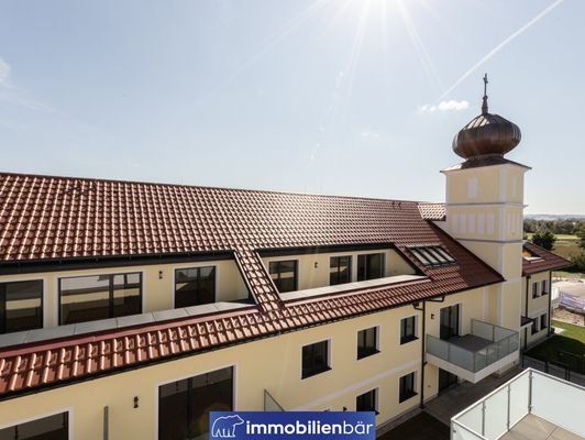 Bild 50
