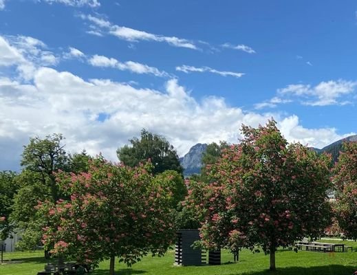 Aussicht Wohnbereich Grimming