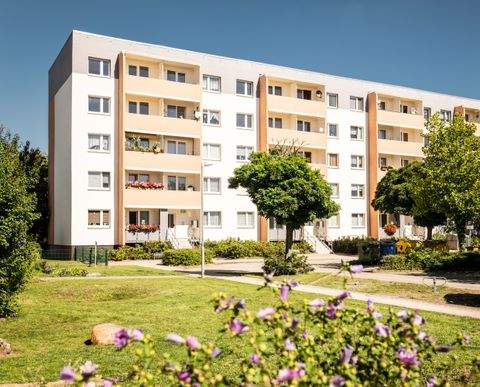 Sandersdorf-Brehna Wohnungen, Sandersdorf-Brehna Wohnung mieten