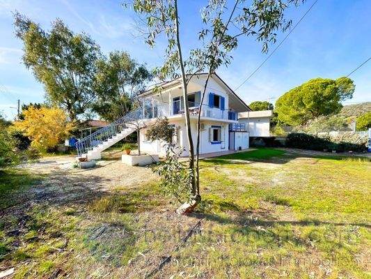 img_bd23abdf-f60b-4b1e-bc7d-c48783161cbf