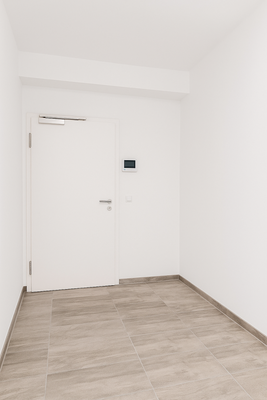 Wohnungseingangstür/Diele