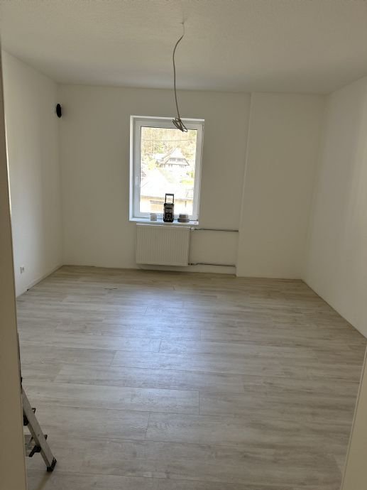 Neu renovierte 3-Zi.- Wohnung in Bad Rippoldsau-Schapbach zu vermieten