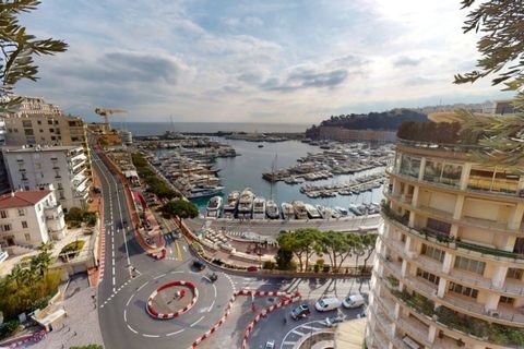 Monaco Wohnungen, Monaco Wohnung kaufen