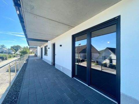 Balve Wohnungen, Balve Wohnung mieten